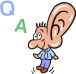 Q&A